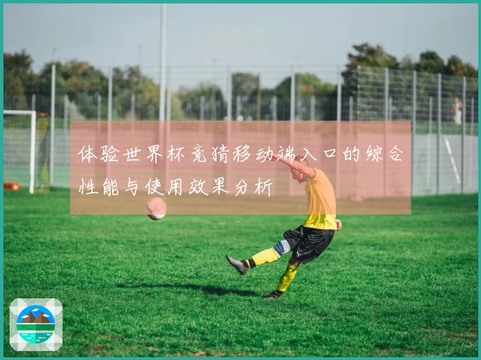 体验世界杯竞猜移动端入口的综合性能与使用效果分析