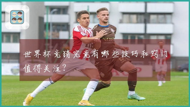 世界杯竞猜究竟有哪些技巧和窍门值得关注？