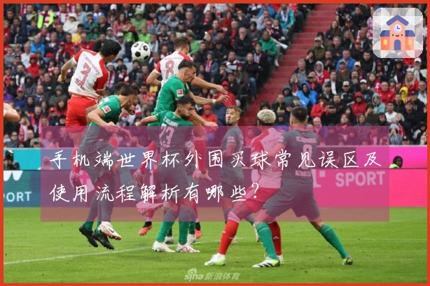 手机端世界杯外围买球常见误区及使用流程解析有哪些？