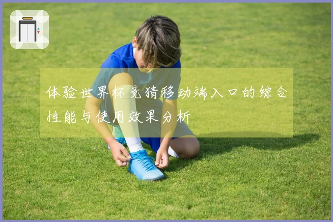 体验世界杯竞猜移动端入口的综合性能与使用效果分析