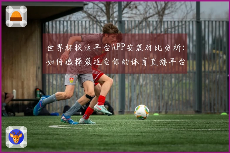 世界杯投注平台APP安装对比分析:如何选择最适合你的体育直播平台