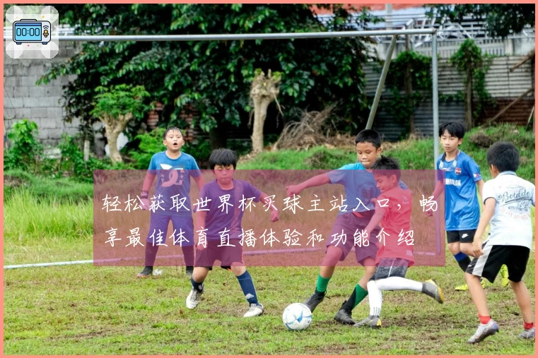 轻松获取世界杯买球主站入口，畅享最佳体育直播体验和功能介绍