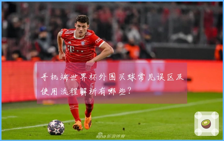手机端世界杯外围买球常见误区及使用流程解析有哪些？