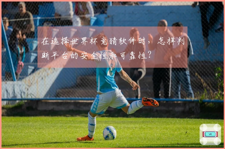 在选择世界杯竞猜软件时，怎样判断平台的安全性和可靠性？