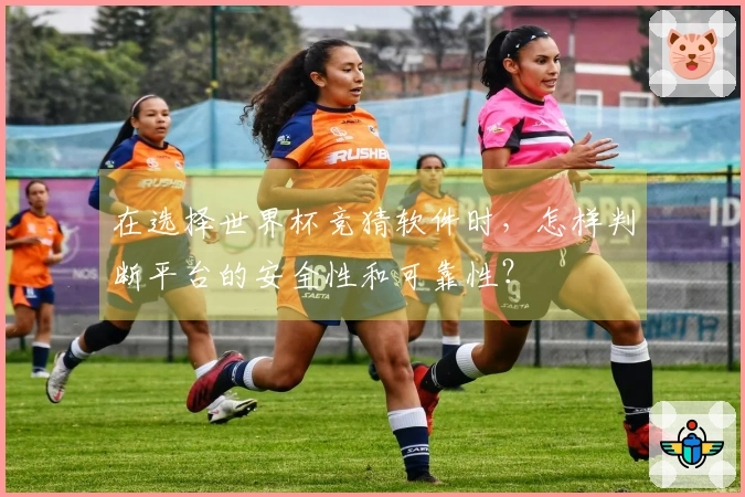 在选择世界杯竞猜软件时，怎样判断平台的安全性和可靠性？