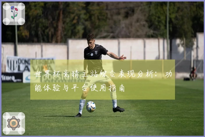世界杯竞猜主站综合表现分析：功能体验与平台使用指南