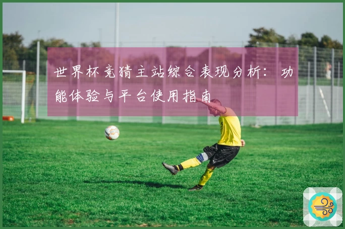 世界杯竞猜主站综合表现分析：功能体验与平台使用指南