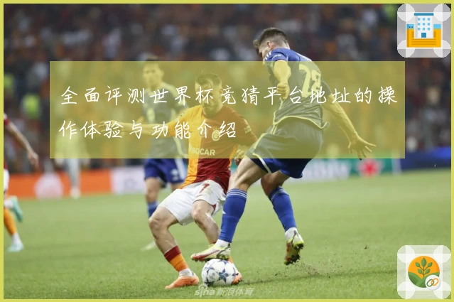 全面评测世界杯竞猜平台地址的操作体验与功能介绍