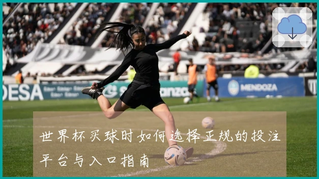 世界杯买球时如何选择正规的投注平台与入口指南